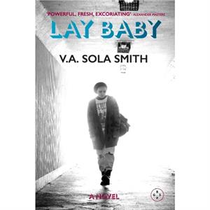 Lay Baby by V. Sola Smith