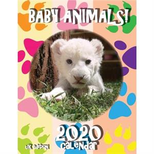 Baby Animals 2020 Calendar UK Edition by Sea Wall Uk