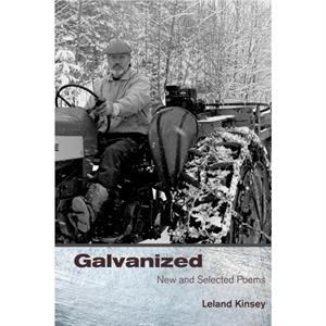 Galvanized by Leland Kinsey