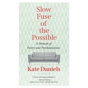 Slow Fuse of the Possible by Kate Daniels
