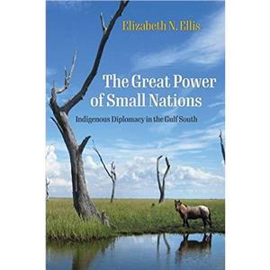 The Great Power of Small Nations by Elizabeth N. Ellis