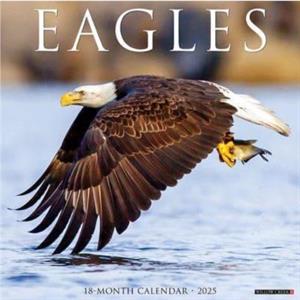 Eagles 2025 12 X 12 Wall Calendar by Willow Creek Press