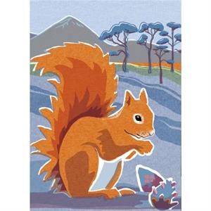 Nature Notebook Red Squirrel by Jane Smith