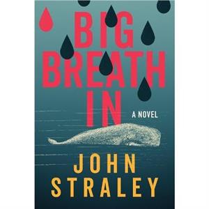 Big Breath In by John Straley