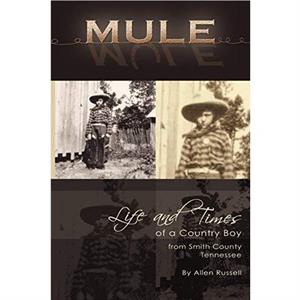 Mule by Allen Russell