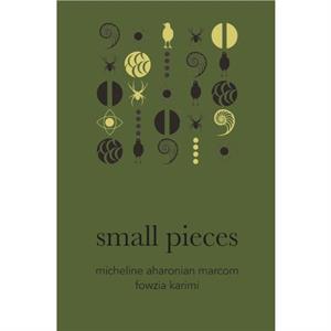 Small Pieces by Micheline Aharonian Marcom