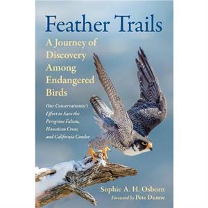 Feather Trails by Sophie A. H. Osborn