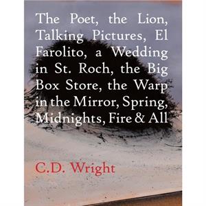 The Poet The Lion Talking Pictures El Farolito A Wedding in St. Roch The Big Box Store The Warp in the Mirror Spring Midnights Fire  All by C.D. Wright