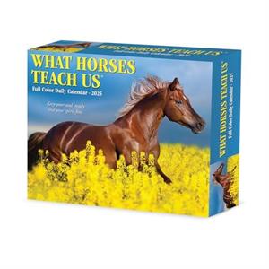 What Horses Teach Us 2025 6.2 X 5.4 Box Calendar by Willow Creek Press