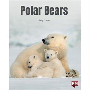 POLAR BEARS by SALLY COWAN