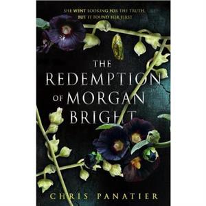 The Redemption of Morgan Bright by Chris Panatier