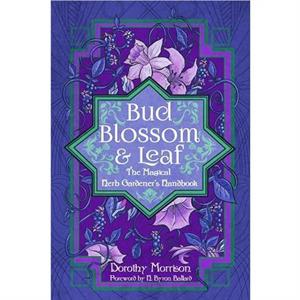 Bud Blossom  Leaf by Dorothy Dorothy Morrison Morrison