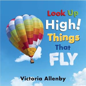 Look Up High Things that Fly by Victoria Allenby