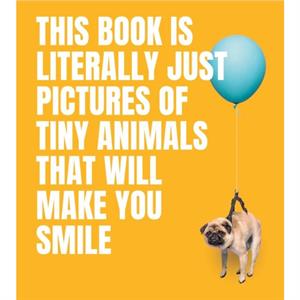 This Book Is Literally Just Pictures of Tiny Animals That Will Make You Smile by Smith Street Books