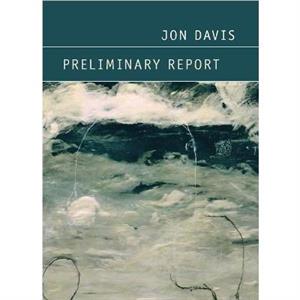 Preliminary Report by Jon Davis