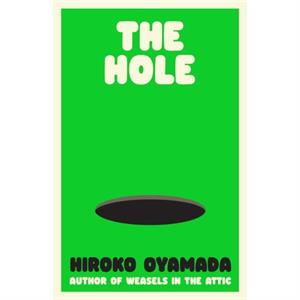 The Hole by Hiroko Oyamada