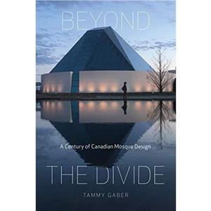 Beyond the Divide by Tammy Gaber