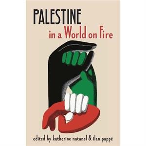 Palestine in a World on Fire by Ilan Papp