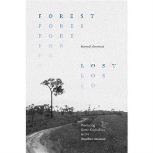 Forest Lost by Maron E. Greenleaf