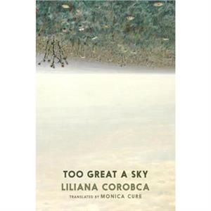 Too Great A Sky by Liliana Corobca