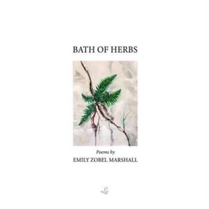 Bath of Herbs by Emily ZobelMarshall