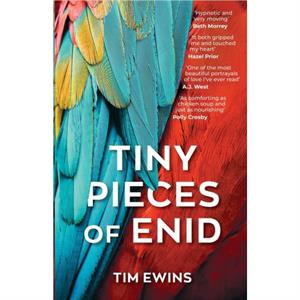 Tiny Pieces of Enid by Tim Ewins