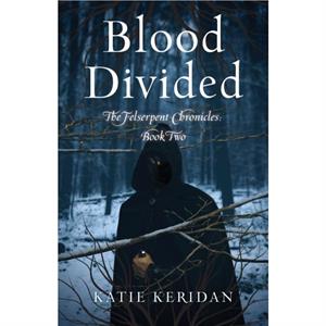 Blood Divided by Katie Keridan