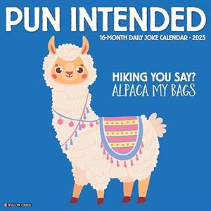 Pun Intended 2025 12 X 12 Wall Calendar by Willow Creek Press