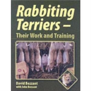 Rabbiting Terriers by John Bezzant