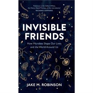 Invisible Friends by Jake Robinson