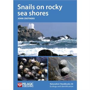 Snails on rocky sea shores by John Crothers