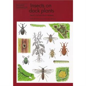 Insects on dock plants by John B. Whittaker