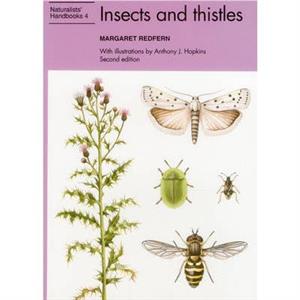 Insects and thistles by Margaret Redfern