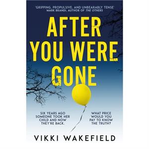 After You Were Gone by Vikki Wakefield