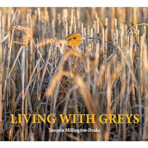 Living with Greys by Tarquin MillingtonDrake