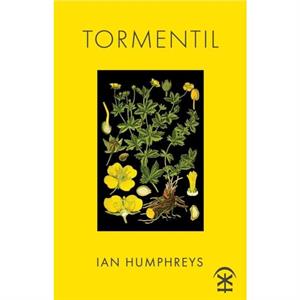 Tormentil by Ian Humphreys