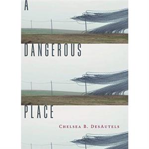 A Dangerous Place by Chelsea B. DesAutels