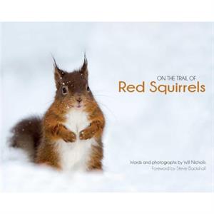 On the Trail of Red Squirrels by Will Nicholls