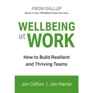 Wellbeing At Work by Jim Harter