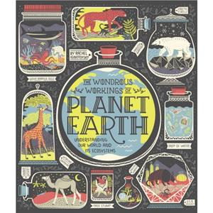 The Wondrous Workings of Planet Earth by Rachel Ignotofsky