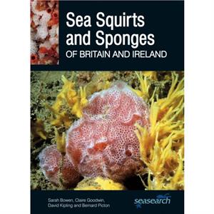 Sea Squirts and Sponges of Britain and Ireland by Bernard Picton