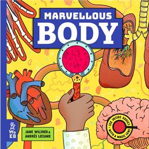 Marvellous Body by Jane Wilsher