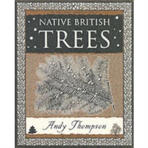 Native British Trees by Andy Thompson