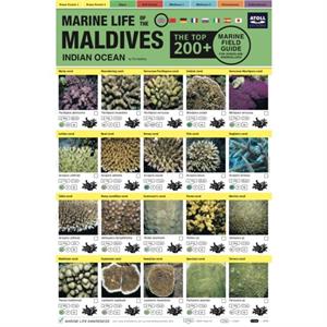 Maldives Marine Life Field Guide by Tim Godfrey