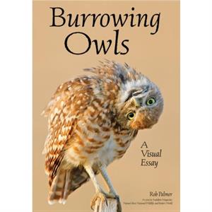 Burrowing Owls by Rob Palmer