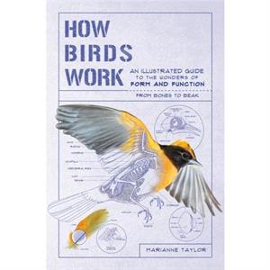 How Birds Work  An Illustrated Guide to the Wonders of Form and FunctionFrom Bones to Beak by Marianne Taylor