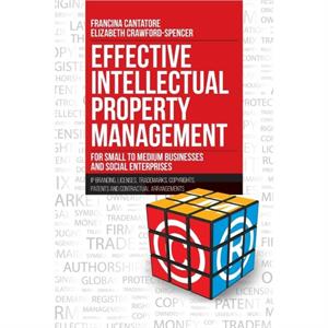 Effective Intellectual Property Management for Small to Medium Businesses and Social Enterprises by Francina Cantatore