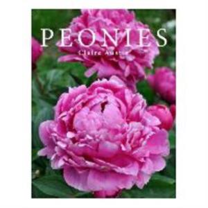 Peonies by Claire Austin