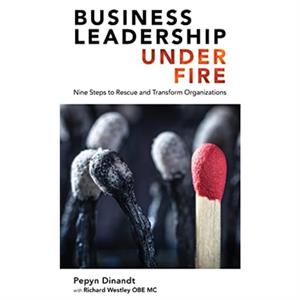 Business Leadership Under Fire by Pepyn Dinandt