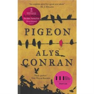 Pigeon by Alys Conran